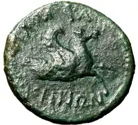 Reverse image
