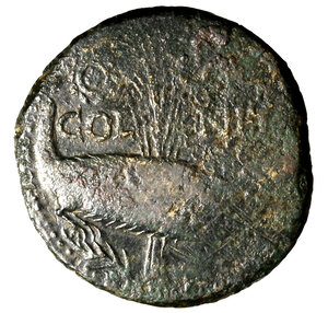 Reverse image