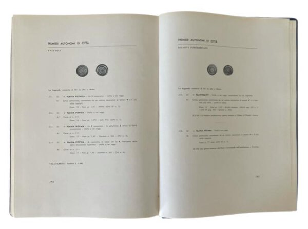 Immagine aggiuntiva 1