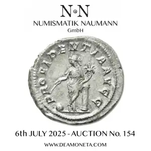 Banner Naumann 154
