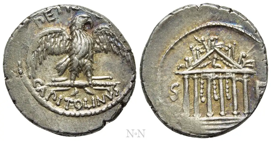 Dritto moneta