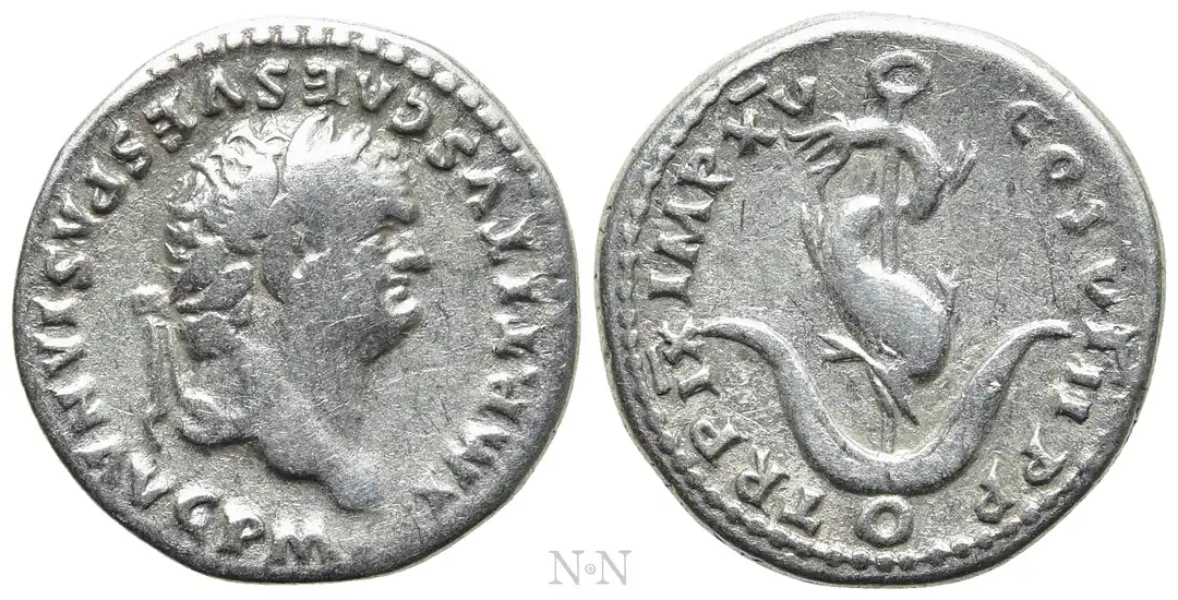 Dritto moneta