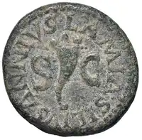 Reverse image