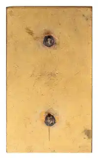 Reverse image
