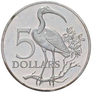 Reverse image