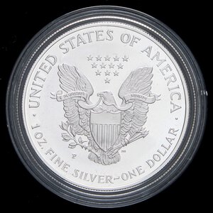 Reverse image