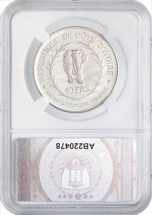 Reverse image