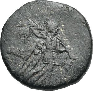 Reverse image