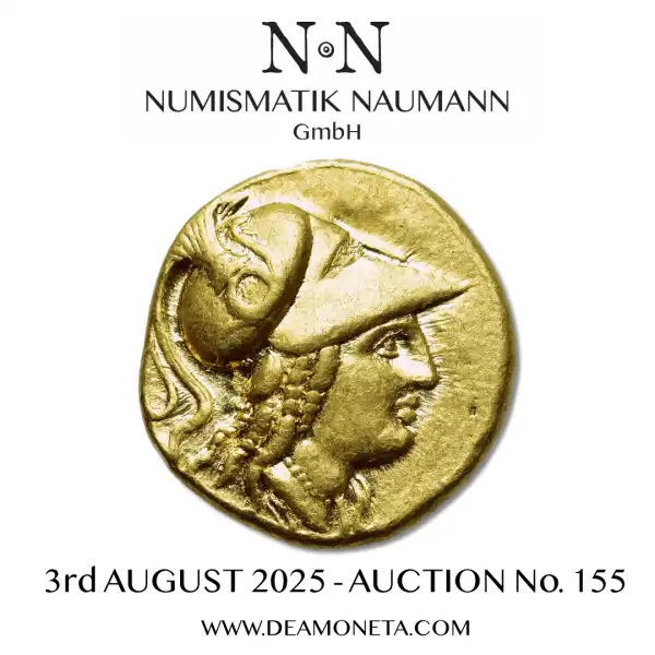 Naumann 155