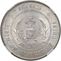 Reverse image