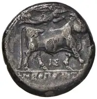 Reverse image