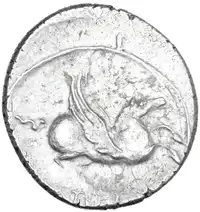 Reverse image