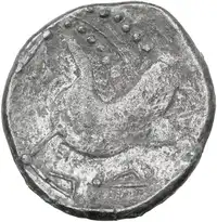 Reverse image