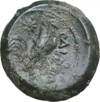 Reverse image