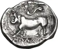 Reverse image