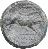 Reverse image