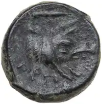 Reverse image
