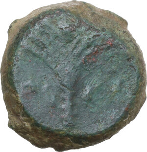 Reverse image