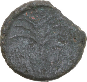 Reverse image