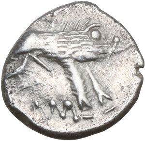 Reverse image