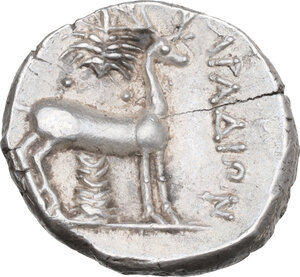 Reverse image