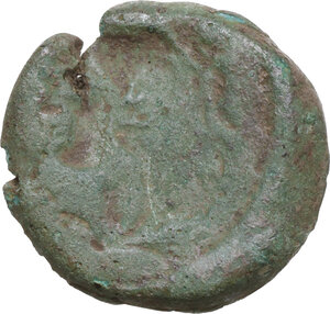Reverse image