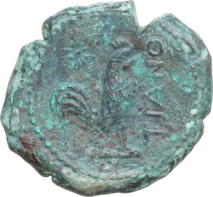Reverse image