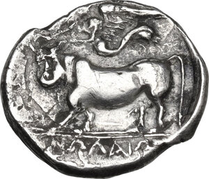 Reverse image