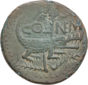 Reverse image