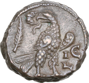 Reverse image