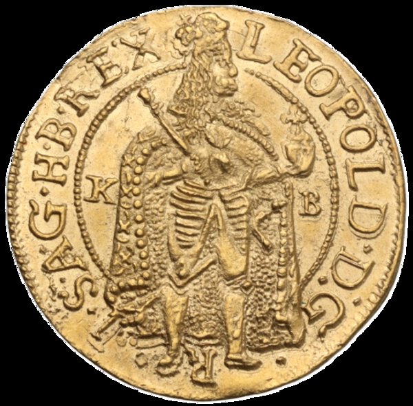 Immagine aggiuntiva 1