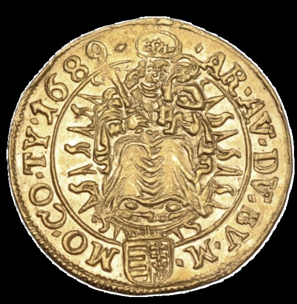 Immagine aggiuntiva 2