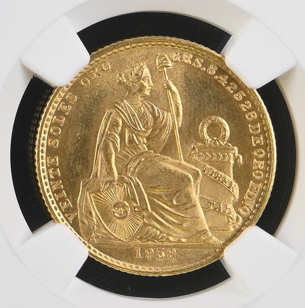 Immagine aggiuntiva 1