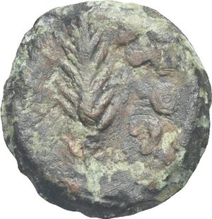 Reverse image