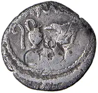 Reverse image