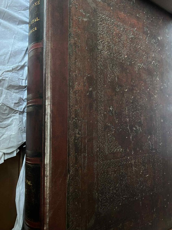 Immagine aggiuntiva 3