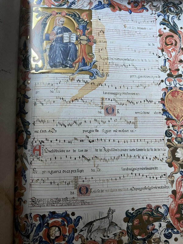 Immagine aggiuntiva 5