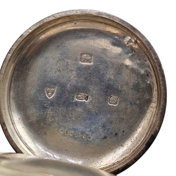 Immagine aggiuntiva 5