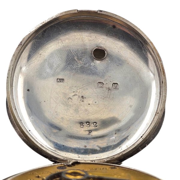 Immagine aggiuntiva 5