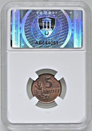 Reverse image