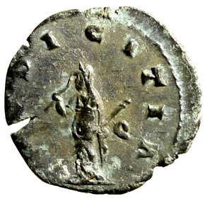Reverse image