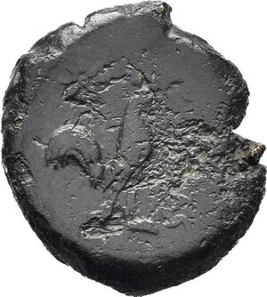 Reverse image