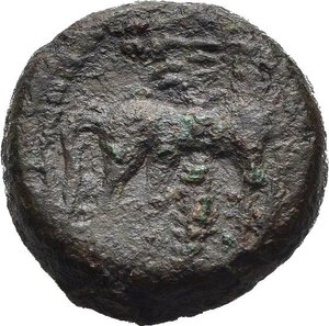 Reverse image