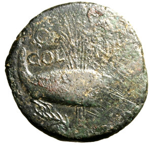 Reverse image