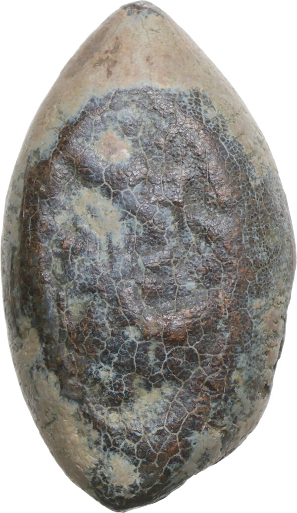 Dritto moneta