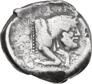 Reverse image