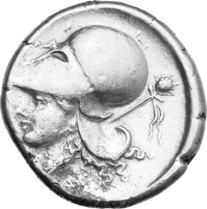 Reverse image