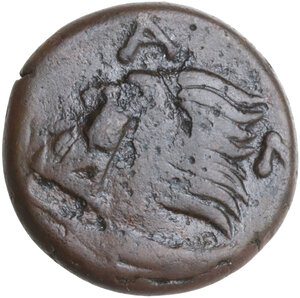 Reverse image