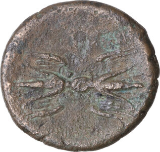 Reverse image