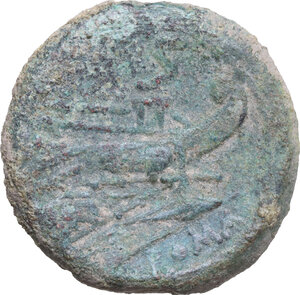 Reverse image